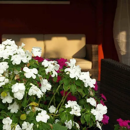 Nigahotel